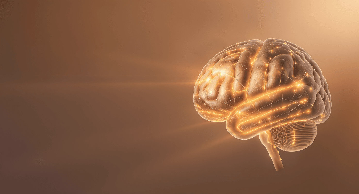 뇌과학과 AI로 발견한 성인 영어 학습 혁신